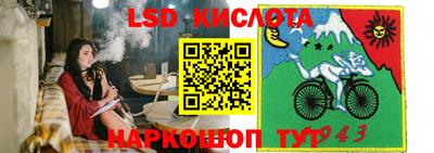 трава Кандалакша