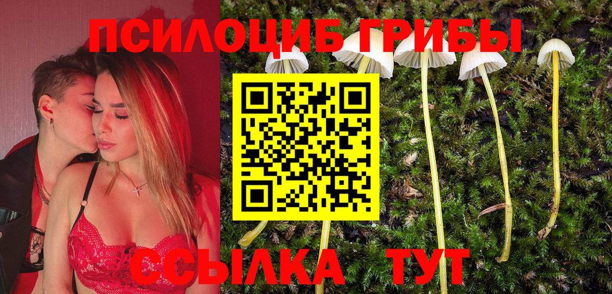 Псилоцибиновые грибы прущие грибы Кушва