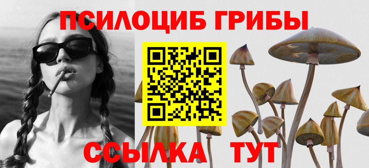 Кушва  Галлюциногенные грибы Psilocybe  Вход с VPN 